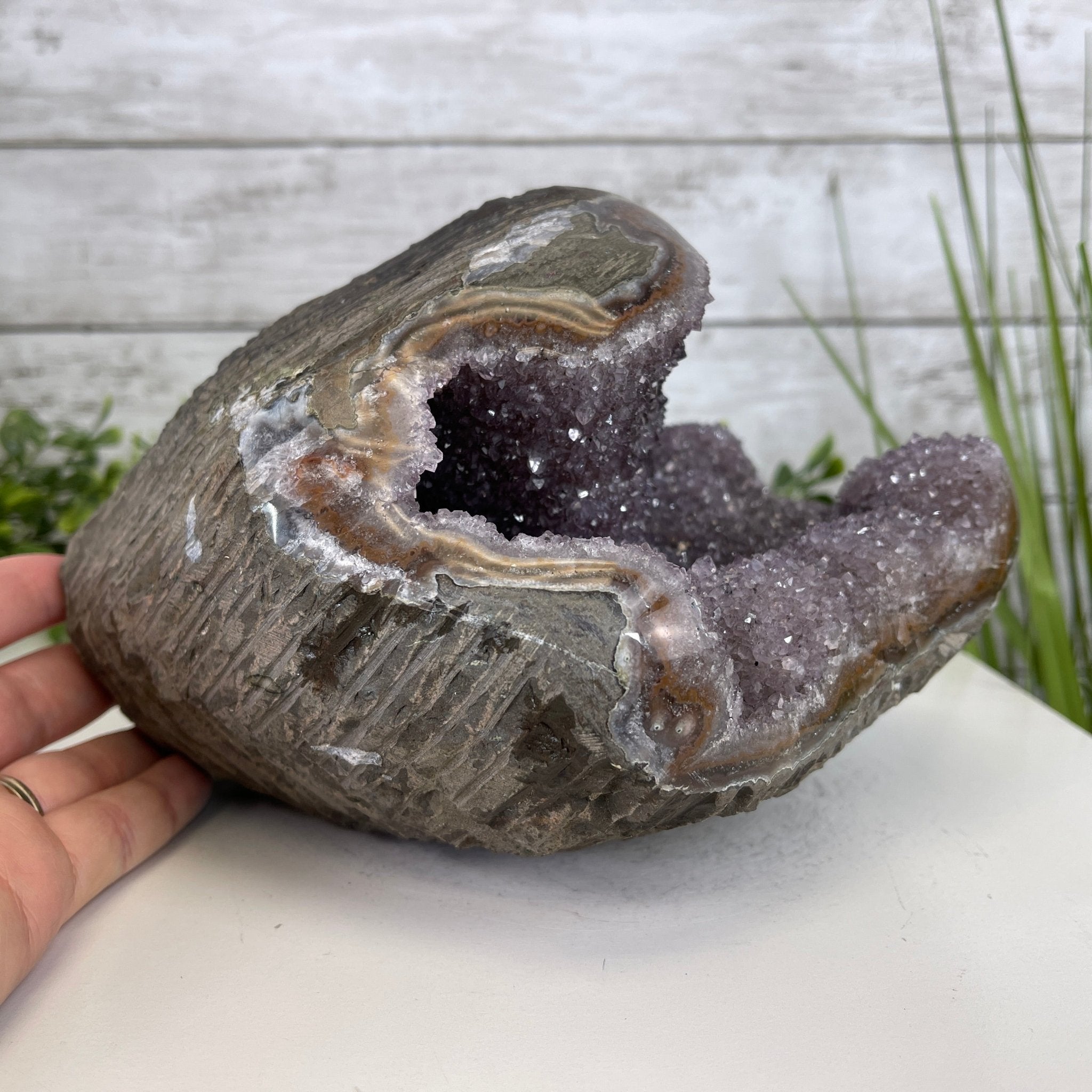 Extra Quality Unique Uruguayan Amethyst Geode, 4.75” tall & 10.7 lbs #5520-0002 by Brazil Gems - Brazil GemsBrazil GemsExtra Quality Unique Uruguayan Amethyst Geode, 4.75” tall & 10.7 lbs #5520-0002 by Brazil GemsClusters: Unique & Freeform5520-0002