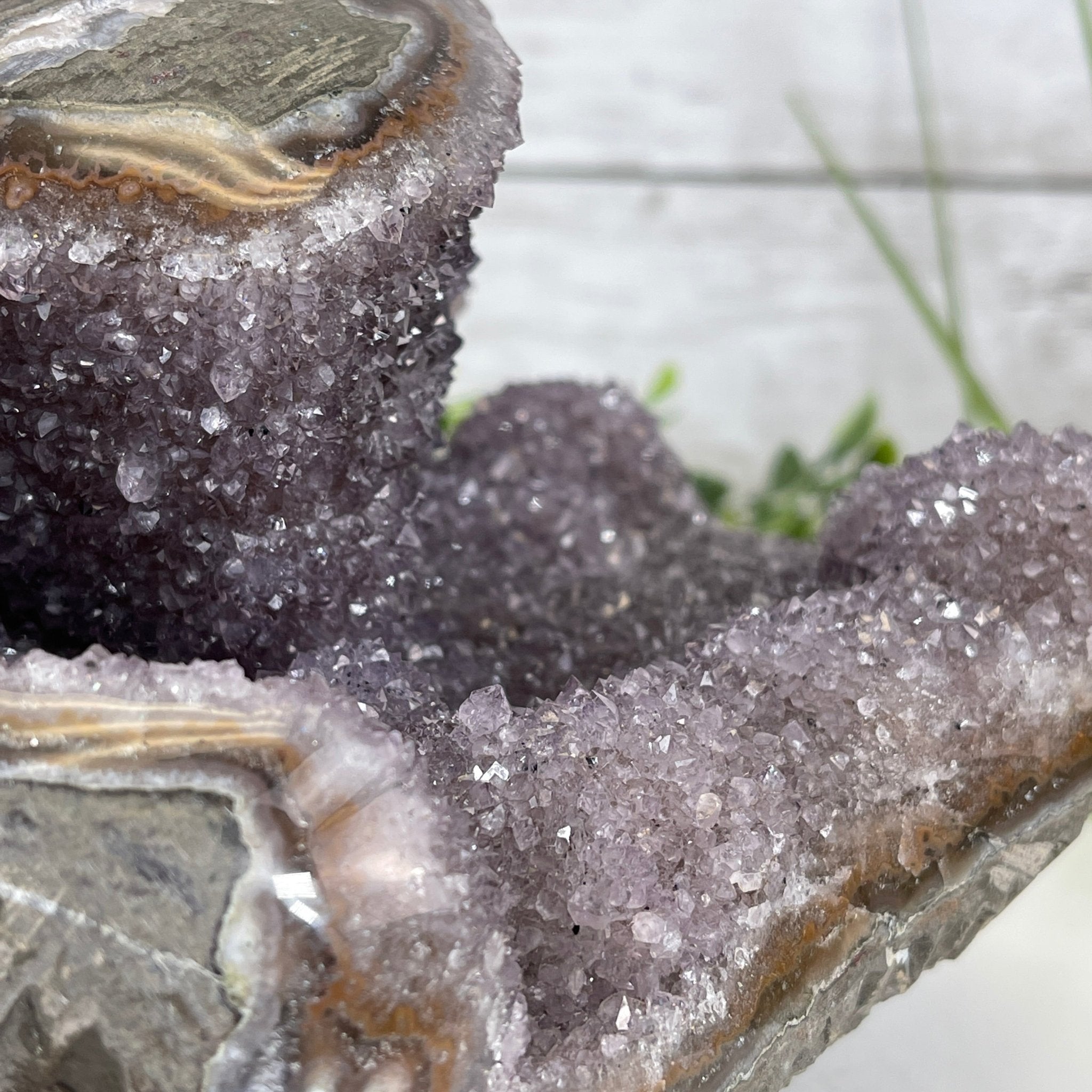 Extra Quality Unique Uruguayan Amethyst Geode, 4.75” tall & 10.7 lbs #5520-0002 by Brazil Gems - Brazil GemsBrazil GemsExtra Quality Unique Uruguayan Amethyst Geode, 4.75” tall & 10.7 lbs #5520-0002 by Brazil GemsClusters: Unique & Freeform5520-0002