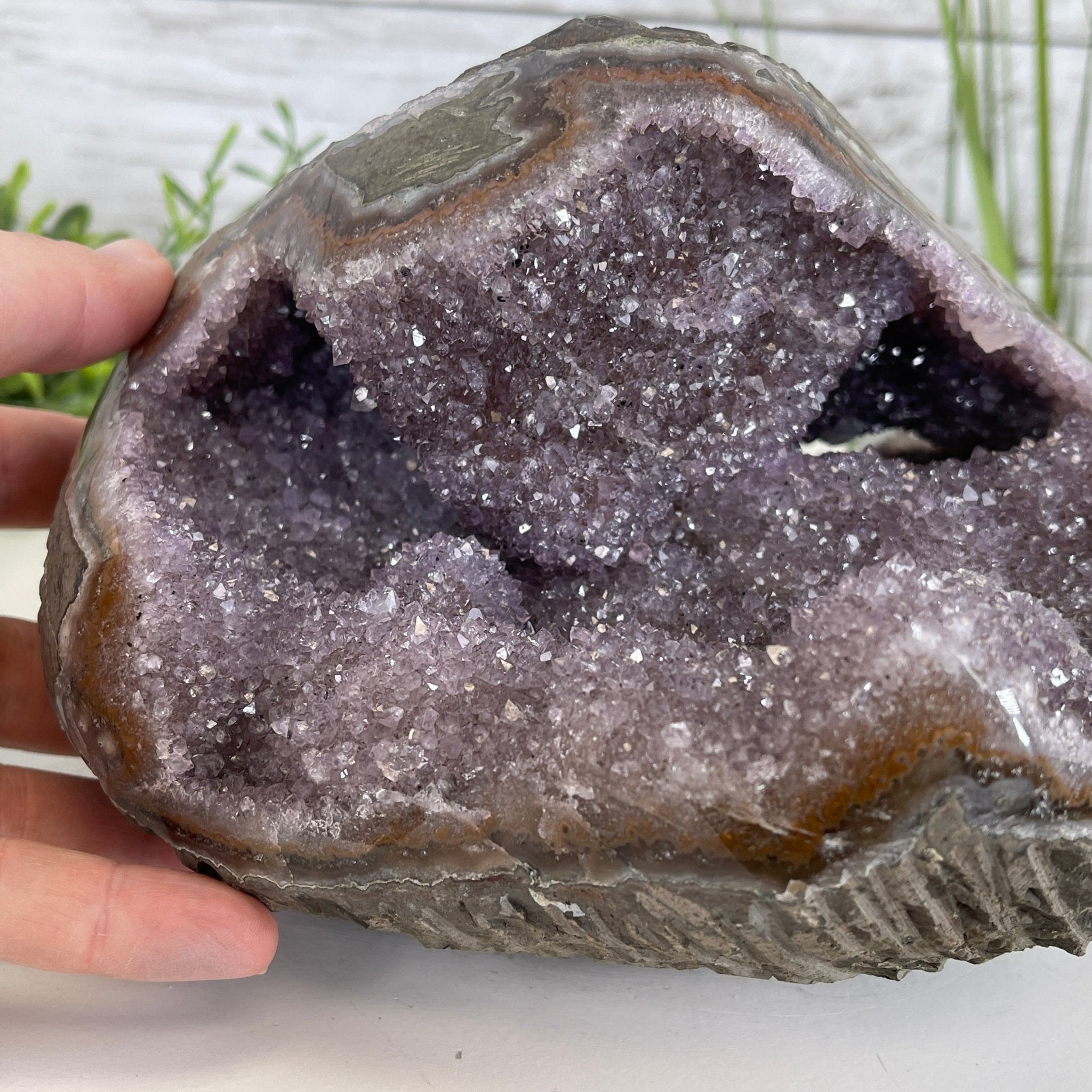 Extra Quality Unique Uruguayan Amethyst Geode, 4.75” tall & 10.7 lbs #5520-0002 by Brazil Gems - Brazil GemsBrazil GemsExtra Quality Unique Uruguayan Amethyst Geode, 4.75” tall & 10.7 lbs #5520-0002 by Brazil GemsClusters: Unique & Freeform5520-0002