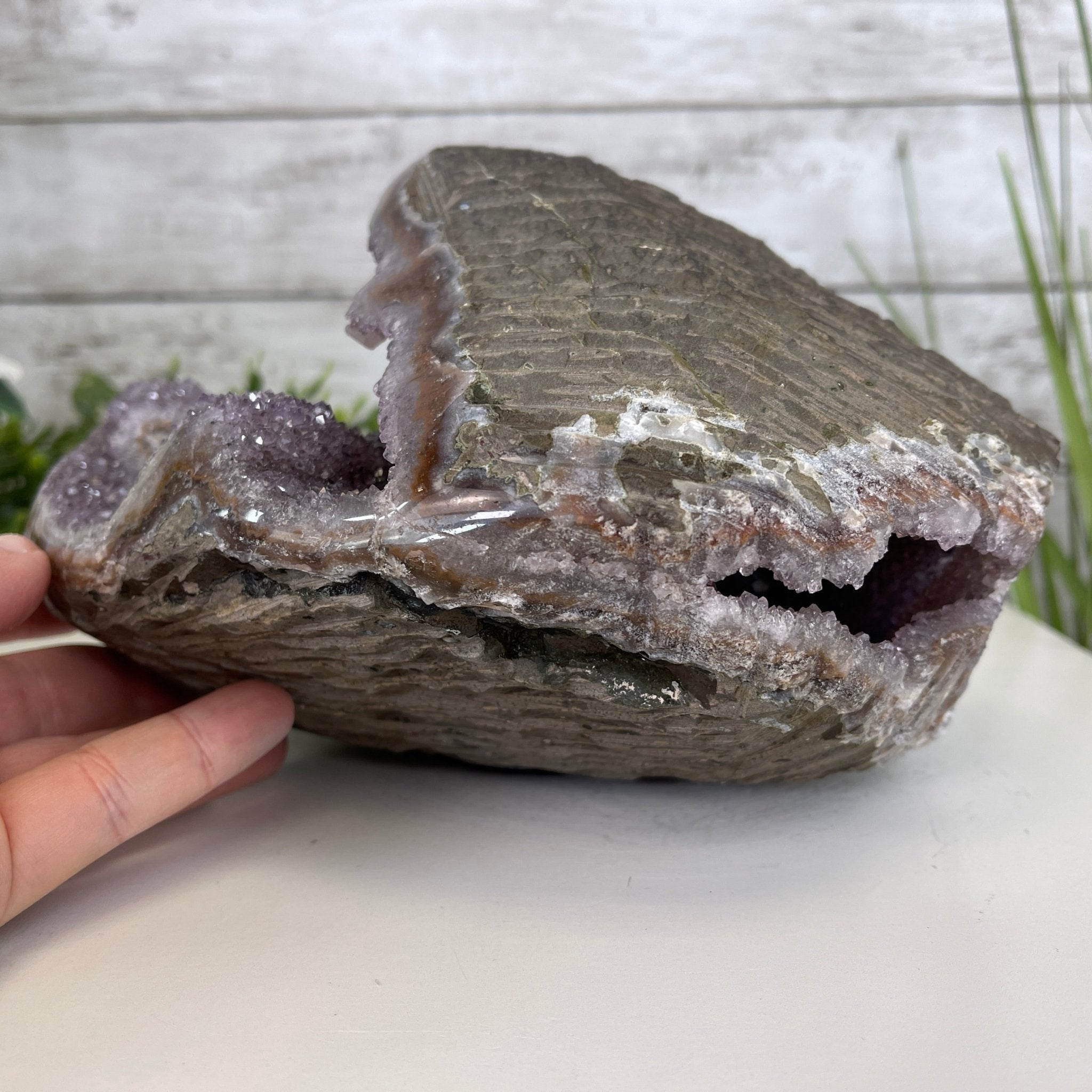 Extra Quality Unique Uruguayan Amethyst Geode, 4.75” tall & 10.7 lbs #5520-0002 by Brazil Gems - Brazil GemsBrazil GemsExtra Quality Unique Uruguayan Amethyst Geode, 4.75” tall & 10.7 lbs #5520-0002 by Brazil GemsClusters: Unique & Freeform5520-0002