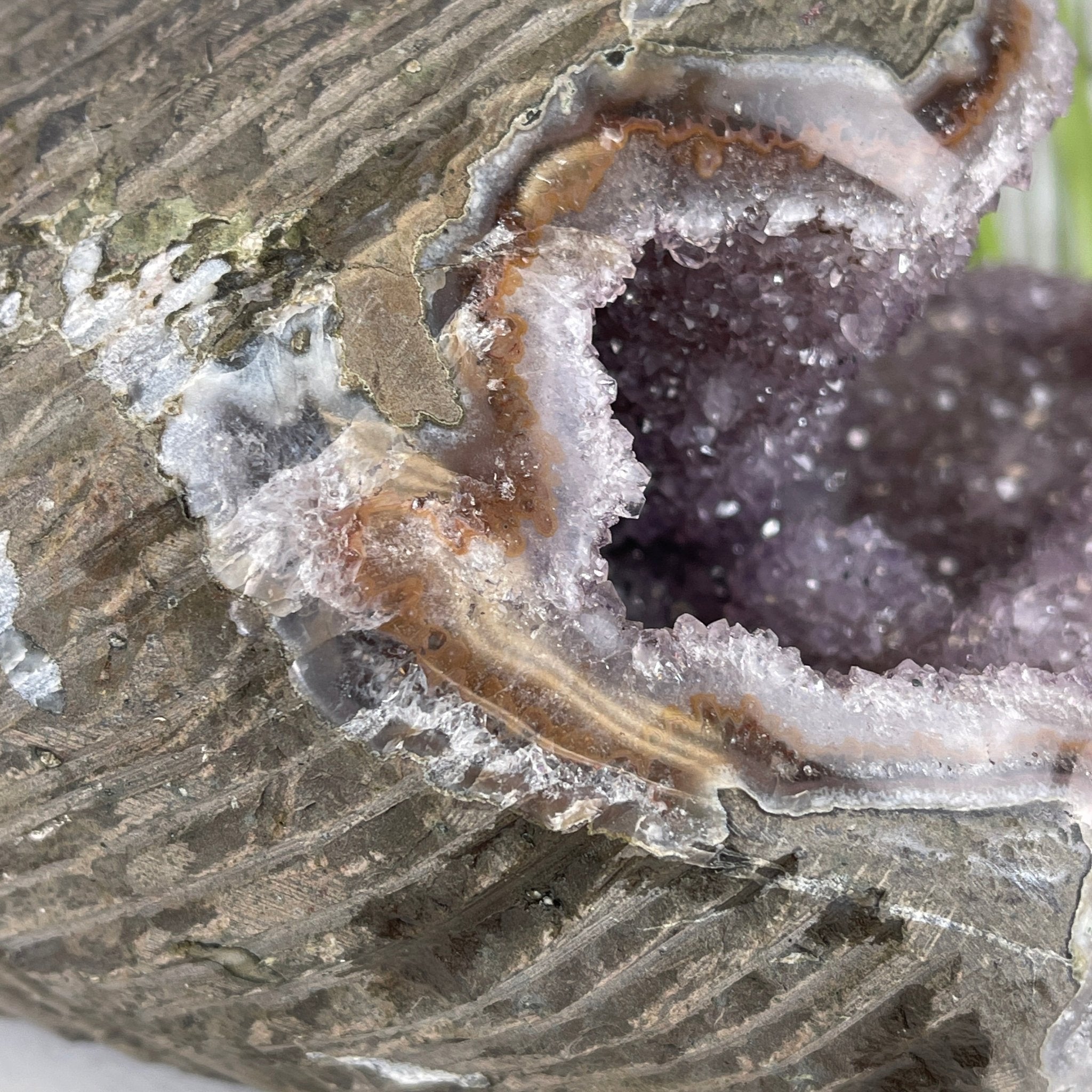 Extra Quality Unique Uruguayan Amethyst Geode, 4.75” tall & 10.7 lbs #5520-0002 by Brazil Gems - Brazil GemsBrazil GemsExtra Quality Unique Uruguayan Amethyst Geode, 4.75” tall & 10.7 lbs #5520-0002 by Brazil GemsClusters: Unique & Freeform5520-0002