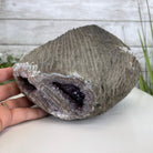 Extra Quality Unique Uruguayan Amethyst Geode, 4.75” tall & 10.7 lbs #5520-0002 by Brazil Gems - Brazil GemsBrazil GemsExtra Quality Unique Uruguayan Amethyst Geode, 4.75” tall & 10.7 lbs #5520-0002 by Brazil GemsClusters: Unique & Freeform5520-0002