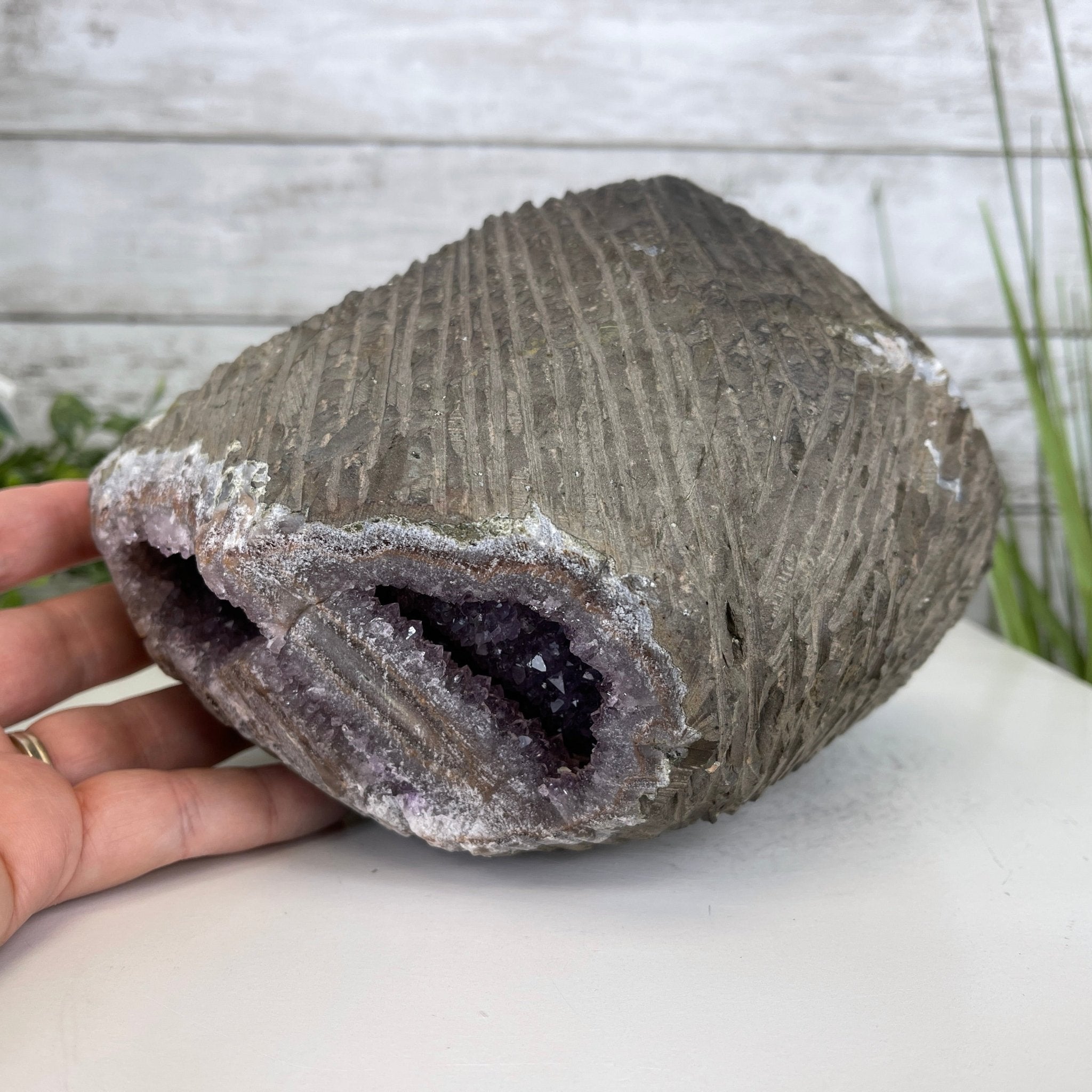 Extra Quality Unique Uruguayan Amethyst Geode, 4.75” tall & 10.7 lbs #5520-0002 by Brazil Gems - Brazil GemsBrazil GemsExtra Quality Unique Uruguayan Amethyst Geode, 4.75” tall & 10.7 lbs #5520-0002 by Brazil GemsClusters: Unique & Freeform5520-0002