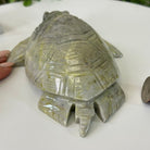 Handcrafted Serpentine Turtle Carving, 2 lbs and 2.1" Tall #3901SE - 001 - Brazil GemsBrazil GemsHandcrafted Serpentine Turtle Carving, 2 lbs and 2.1" Tall #3901SE - 0013901SE - 001