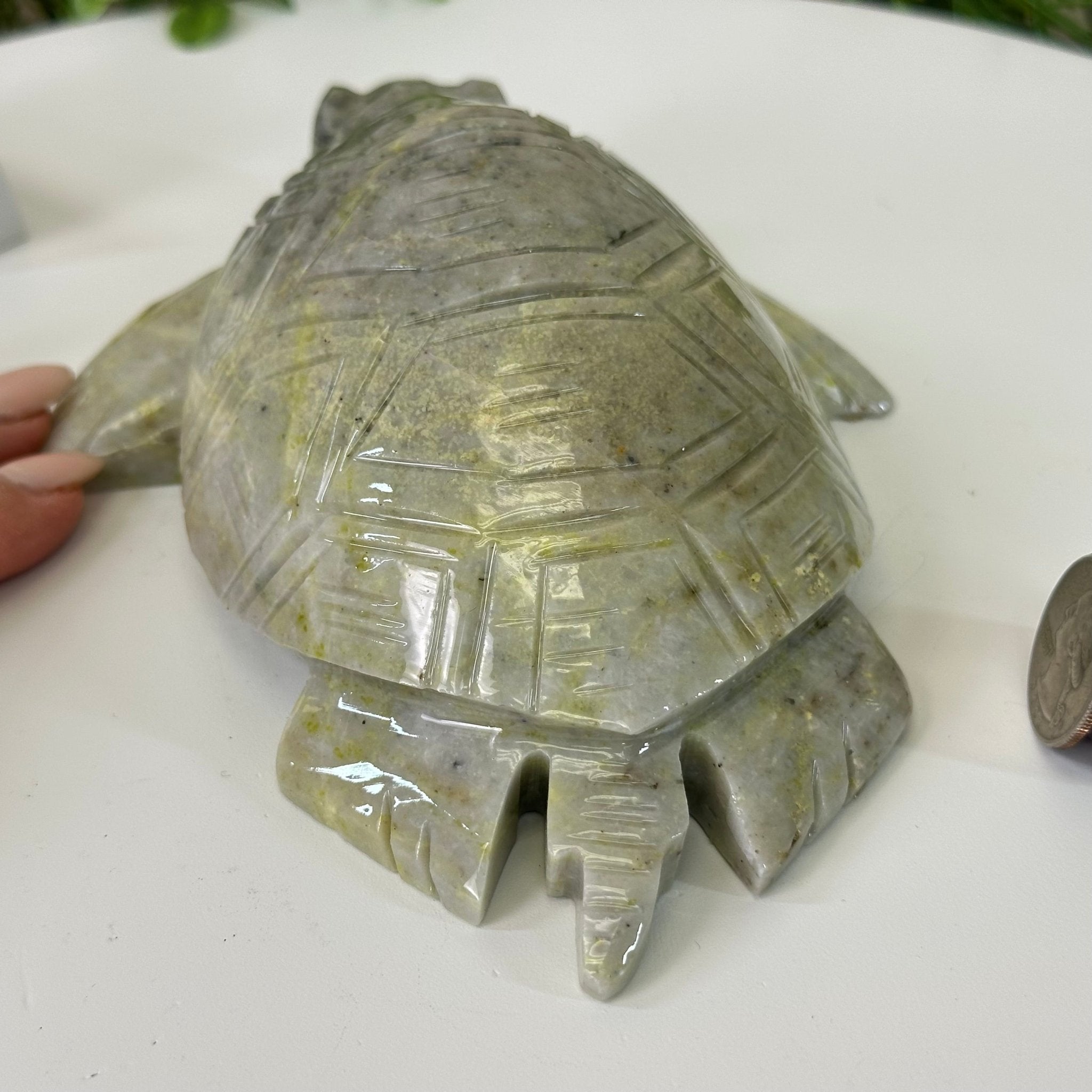 Handcrafted Serpentine Turtle Carving, 2 lbs and 2.1" Tall #3901SE - 001 - Brazil GemsBrazil GemsHandcrafted Serpentine Turtle Carving, 2 lbs and 2.1" Tall #3901SE - 0013901SE - 001