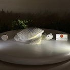 Handcrafted Serpentine Turtle Carving, 2 lbs and 2.1" Tall #3901SE - 001 - Brazil GemsBrazil GemsHandcrafted Serpentine Turtle Carving, 2 lbs and 2.1" Tall #3901SE - 0013901SE - 001