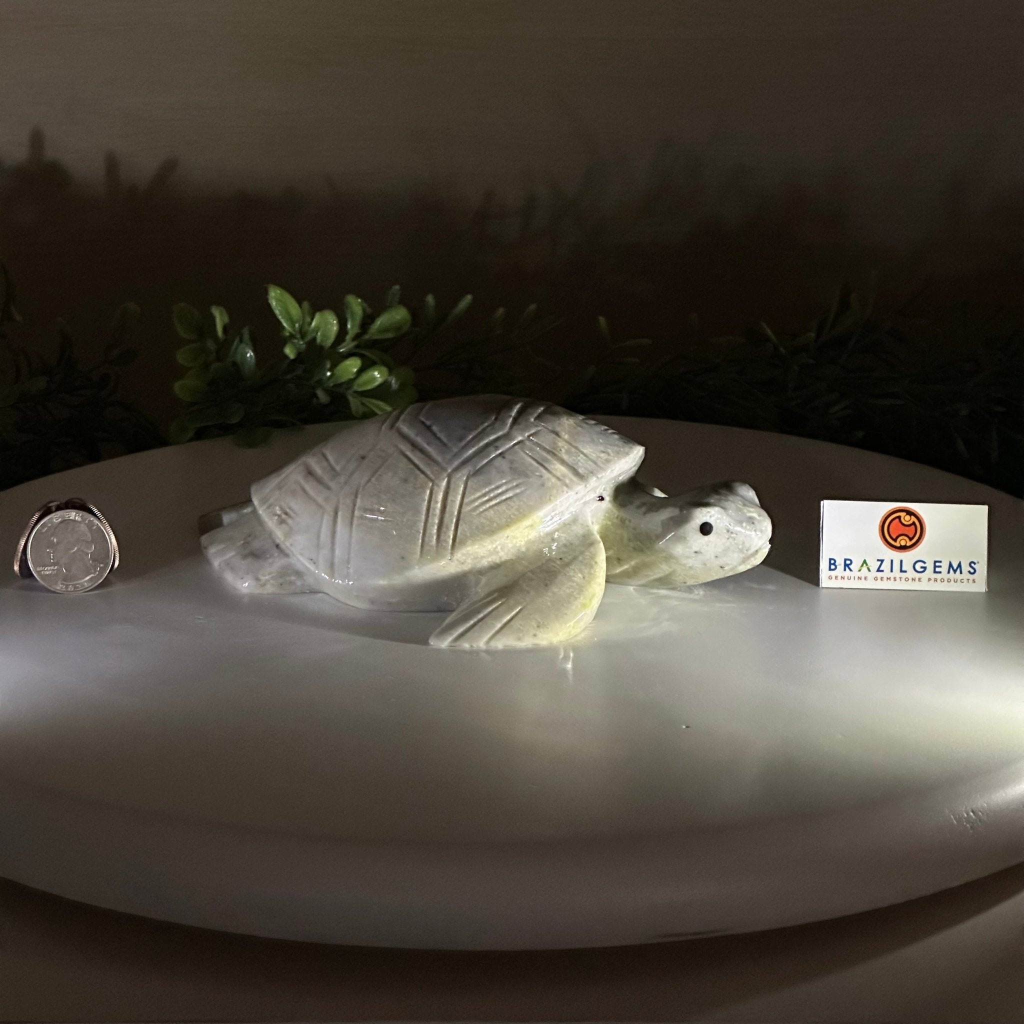 Handcrafted Serpentine Turtle Carving, 2 lbs and 2.1" Tall #3901SE - 001 - Brazil GemsBrazil GemsHandcrafted Serpentine Turtle Carving, 2 lbs and 2.1" Tall #3901SE - 0013901SE - 001