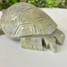 Handcrafted Serpentine Turtle Carving, 2 lbs and 2.1" Tall #3901SE - 001 - Brazil GemsBrazil GemsHandcrafted Serpentine Turtle Carving, 2 lbs and 2.1" Tall #3901SE - 0013901SE - 001