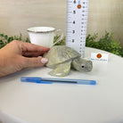 Handcrafted Serpentine Turtle Carving, 2 lbs and 2.1" Tall #3901SE - 001 - Brazil GemsBrazil GemsHandcrafted Serpentine Turtle Carving, 2 lbs and 2.1" Tall #3901SE - 0013901SE - 001