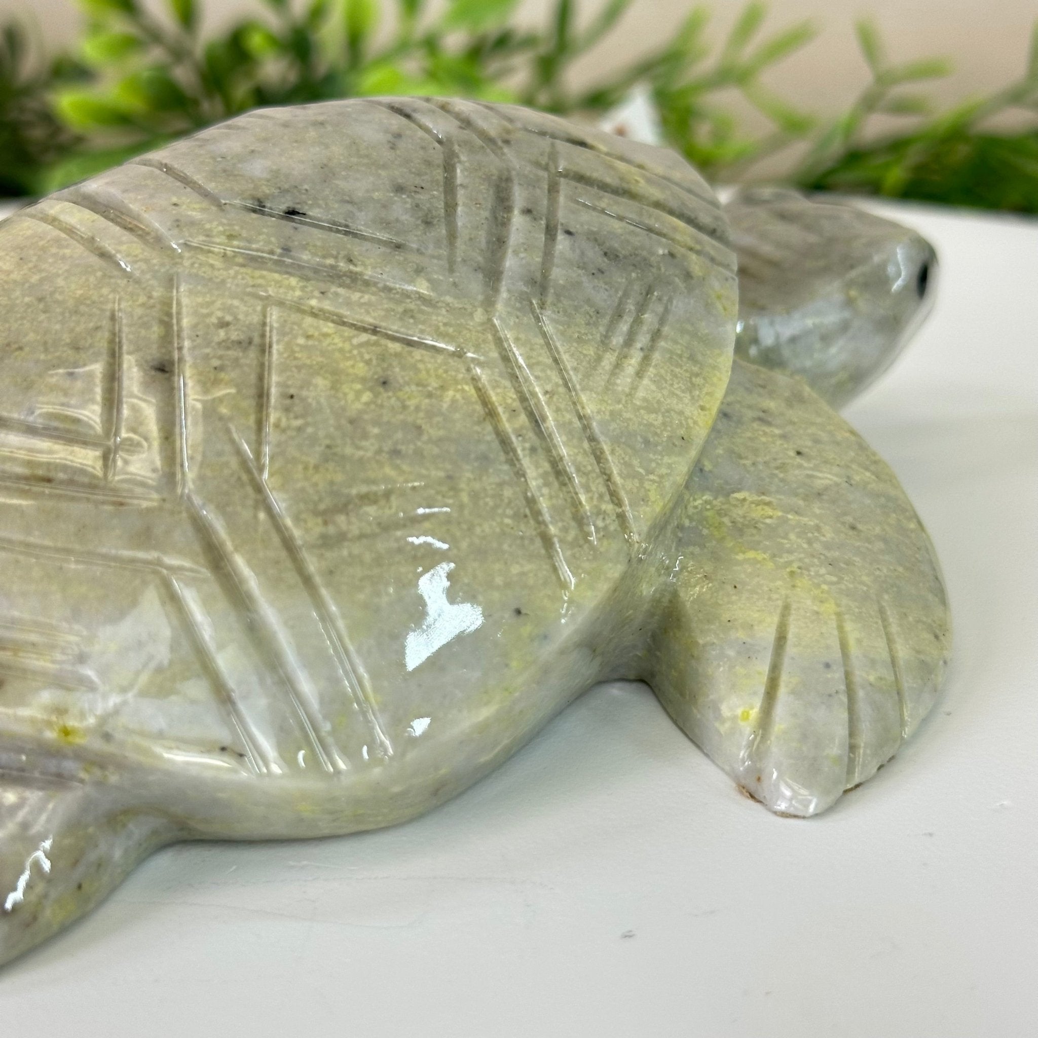 Handcrafted Serpentine Turtle Carving, 2 lbs and 2.1" Tall #3901SE - 001 - Brazil GemsBrazil GemsHandcrafted Serpentine Turtle Carving, 2 lbs and 2.1" Tall #3901SE - 0013901SE - 001