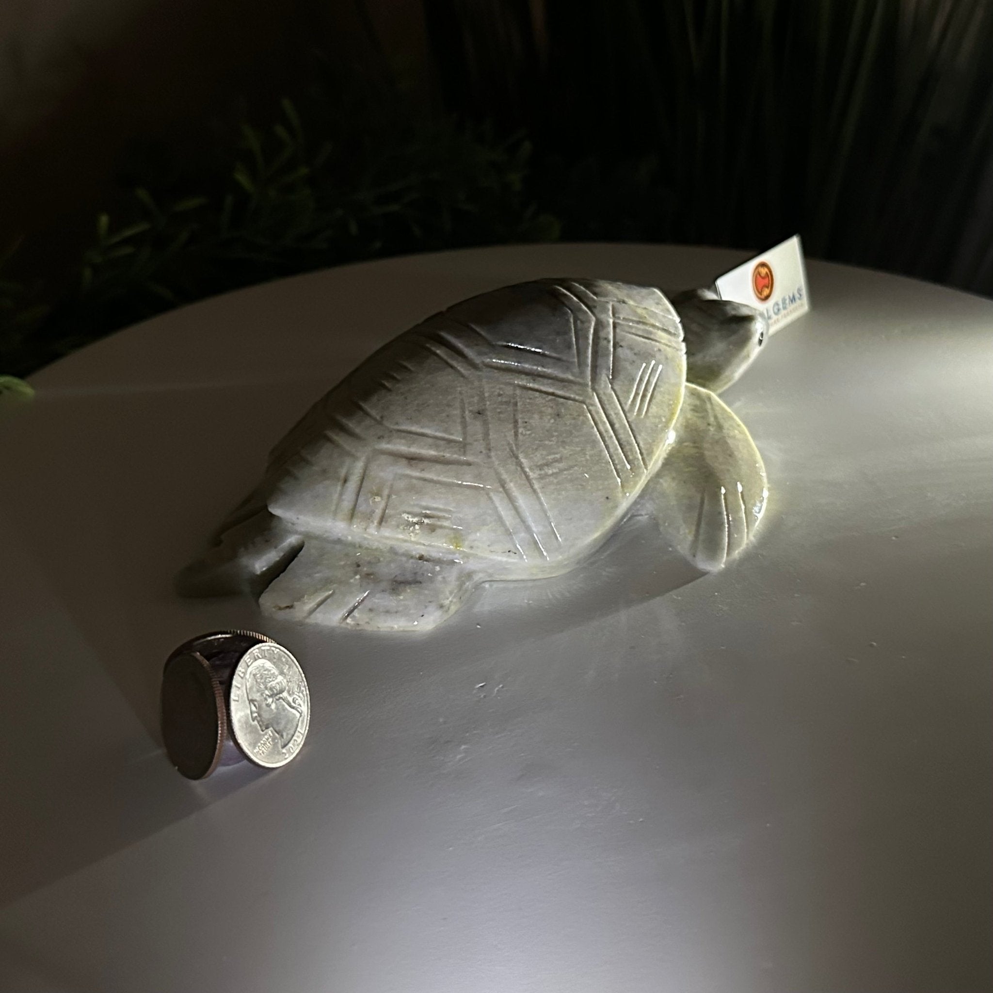 Handcrafted Serpentine Turtle Carving, 2 lbs and 2.1" Tall #3901SE - 001 - Brazil GemsBrazil GemsHandcrafted Serpentine Turtle Carving, 2 lbs and 2.1" Tall #3901SE - 0013901SE - 001