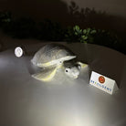 Handcrafted Serpentine Turtle Carving, 2 lbs and 2.1" Tall #3901SE - 001 - Brazil GemsBrazil GemsHandcrafted Serpentine Turtle Carving, 2 lbs and 2.1" Tall #3901SE - 0013901SE - 001