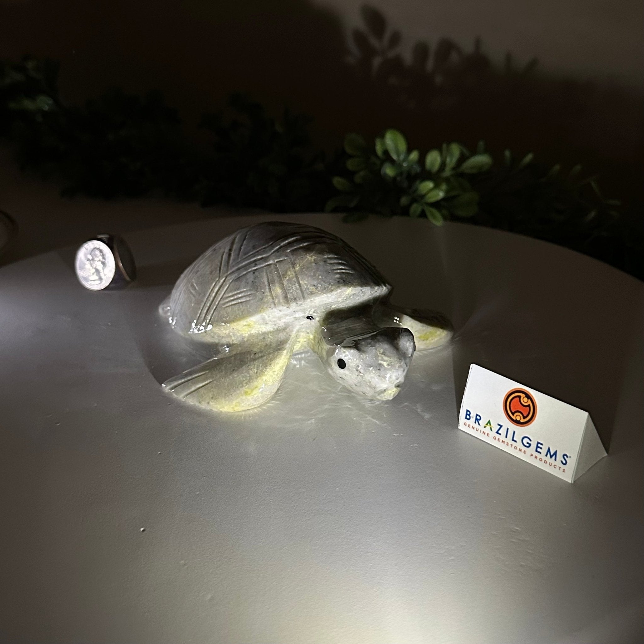 Handcrafted Serpentine Turtle Carving, 2 lbs and 2.1" Tall #3901SE - 001 - Brazil GemsBrazil GemsHandcrafted Serpentine Turtle Carving, 2 lbs and 2.1" Tall #3901SE - 0013901SE - 001