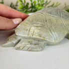 Handcrafted Serpentine Turtle Carving, 2 lbs and 2.1" Tall #3901SE - 001 - Brazil GemsBrazil GemsHandcrafted Serpentine Turtle Carving, 2 lbs and 2.1" Tall #3901SE - 0013901SE - 001