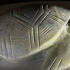 Handcrafted Serpentine Turtle Carving, 2 lbs and 2.1" Tall #3901SE - 001 - Brazil GemsBrazil GemsHandcrafted Serpentine Turtle Carving, 2 lbs and 2.1" Tall #3901SE - 0013901SE - 001