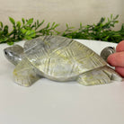 Handcrafted Serpentine Turtle Carving, 2 lbs and 2.1" Tall #3901SE - 001 - Brazil GemsBrazil GemsHandcrafted Serpentine Turtle Carving, 2 lbs and 2.1" Tall #3901SE - 0013901SE - 001