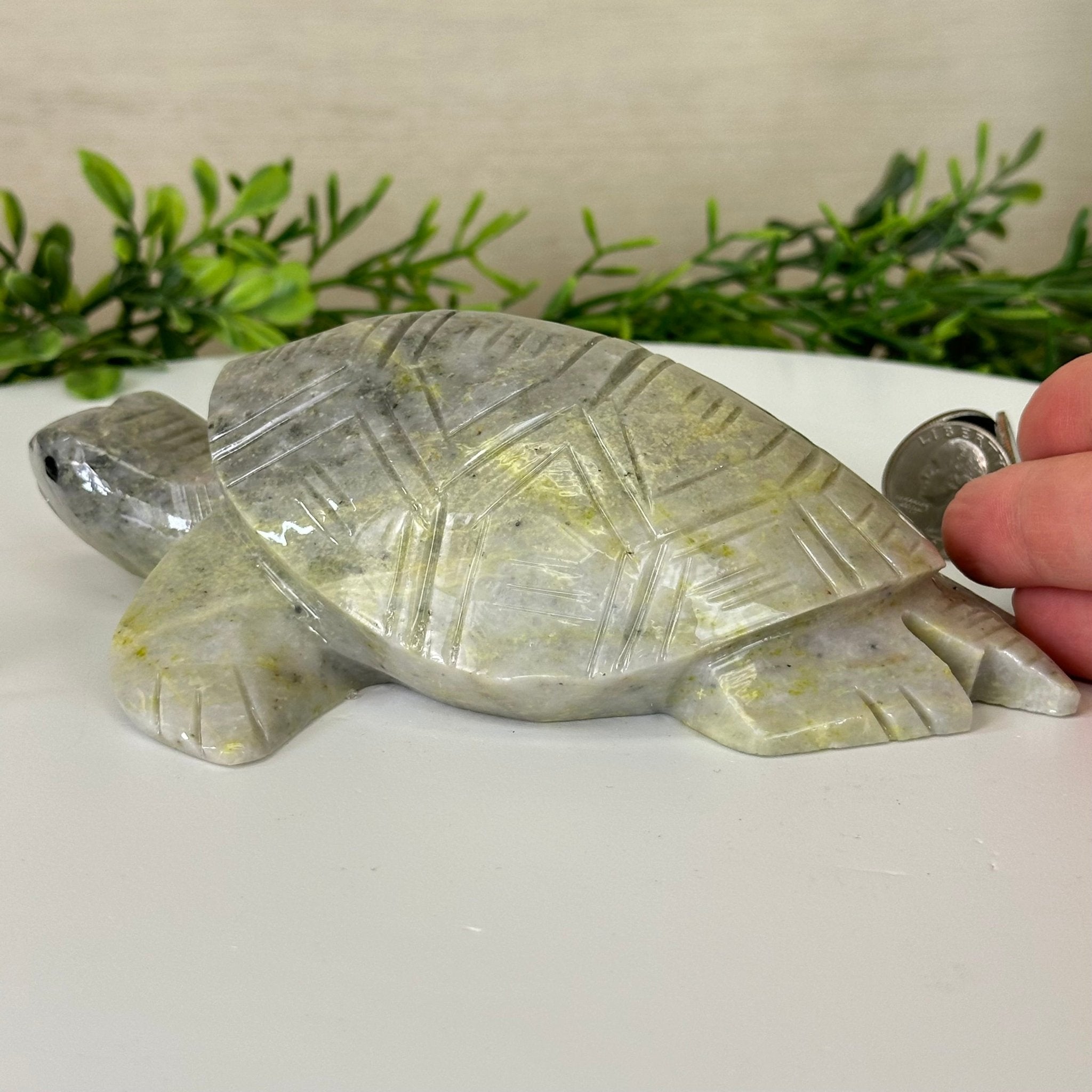 Handcrafted Serpentine Turtle Carving, 2 lbs and 2.1" Tall #3901SE - 001 - Brazil GemsBrazil GemsHandcrafted Serpentine Turtle Carving, 2 lbs and 2.1" Tall #3901SE - 0013901SE - 001