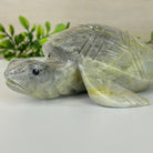Handcrafted Serpentine Turtle Carving, 2 lbs and 2.1" Tall #3901SE - 001 - Brazil GemsBrazil GemsHandcrafted Serpentine Turtle Carving, 2 lbs and 2.1" Tall #3901SE - 0013901SE - 001