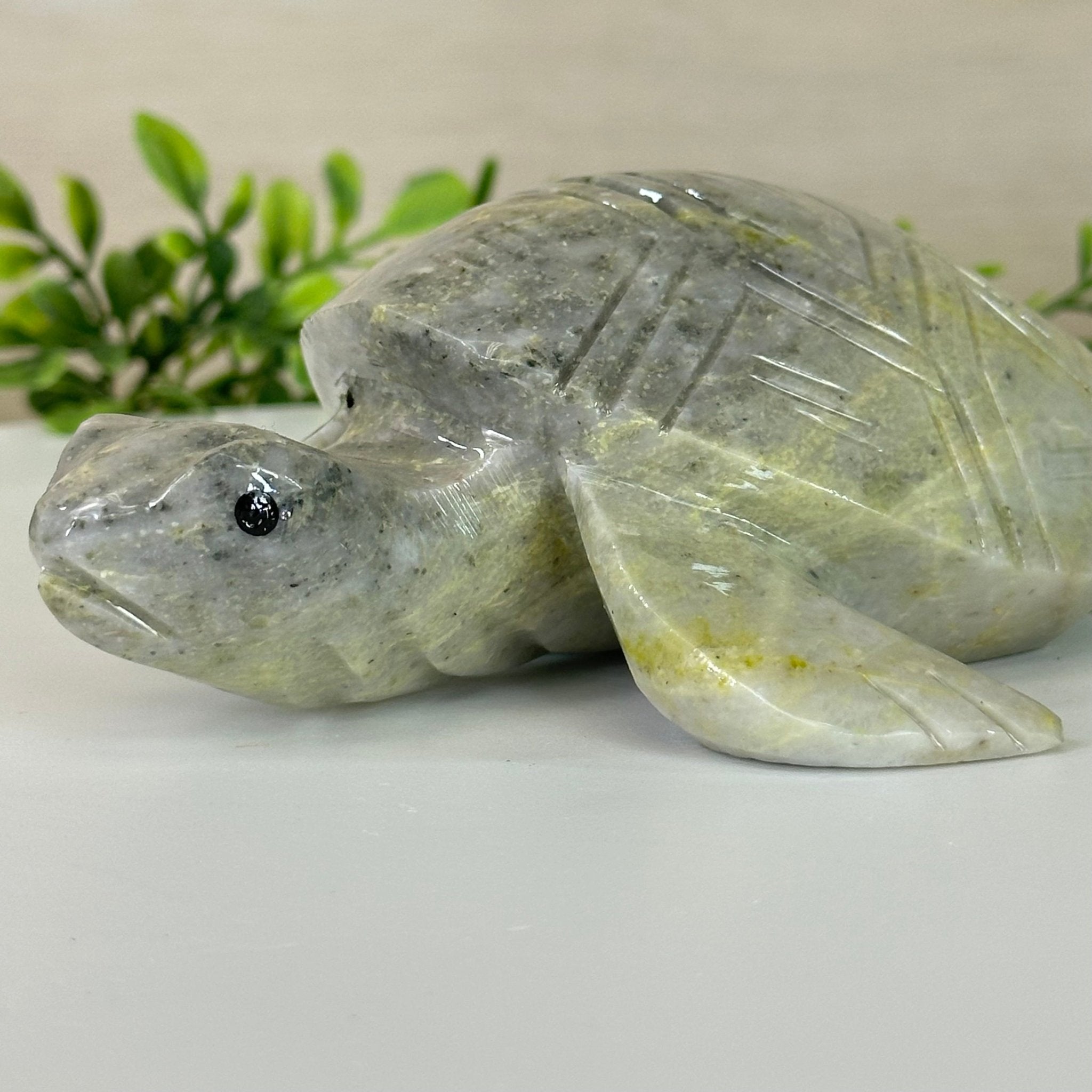 Handcrafted Serpentine Turtle Carving, 2 lbs and 2.1" Tall #3901SE - 001 - Brazil GemsBrazil GemsHandcrafted Serpentine Turtle Carving, 2 lbs and 2.1" Tall #3901SE - 0013901SE - 001