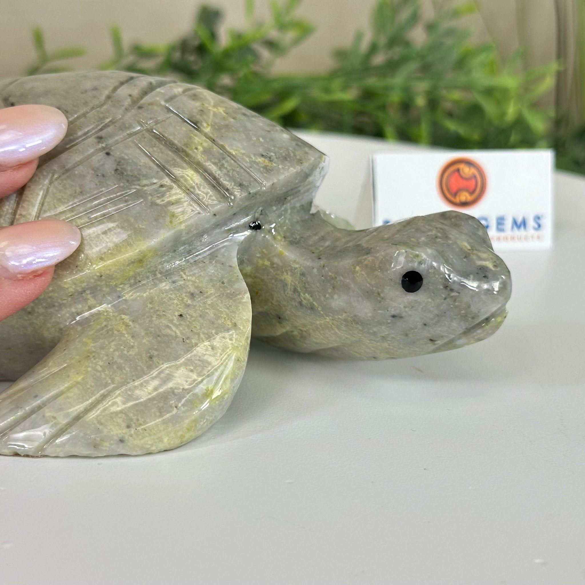 Handcrafted Serpentine Turtle Carving, 2 lbs and 2.1" Tall #3901SE - 001 - Brazil GemsBrazil GemsHandcrafted Serpentine Turtle Carving, 2 lbs and 2.1" Tall #3901SE - 0013901SE - 001