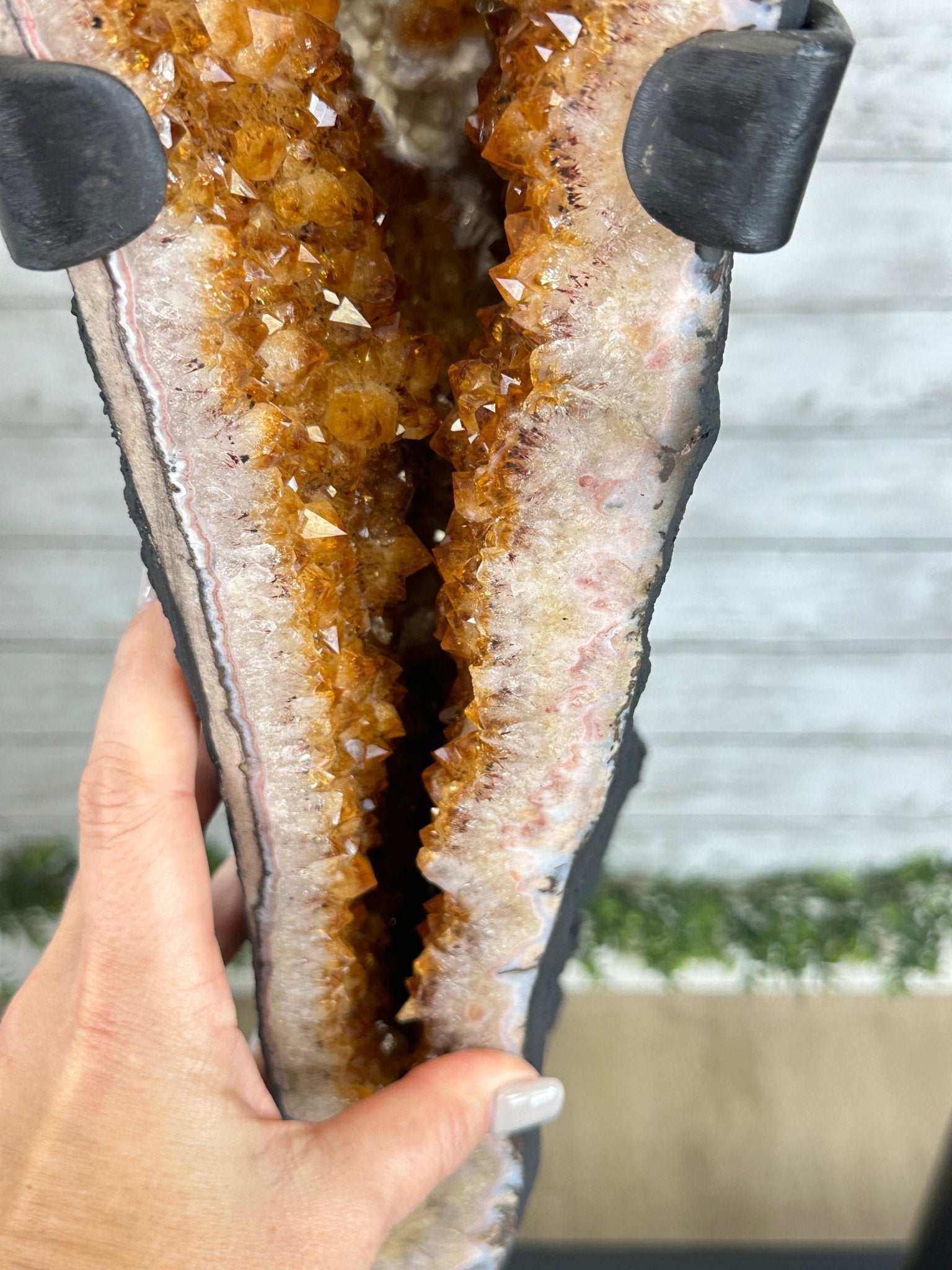 Large Citrine Butterfly Wings on a Metal Stand, 322 lbs & 72.75" Tall #5498-0005 - Brazil GemsBrazil GemsLarge Citrine Butterfly Wings on a Metal Stand, 322 lbs & 72.75" Tall #5498-0005Citrine Butterfly Wings5498-0005
