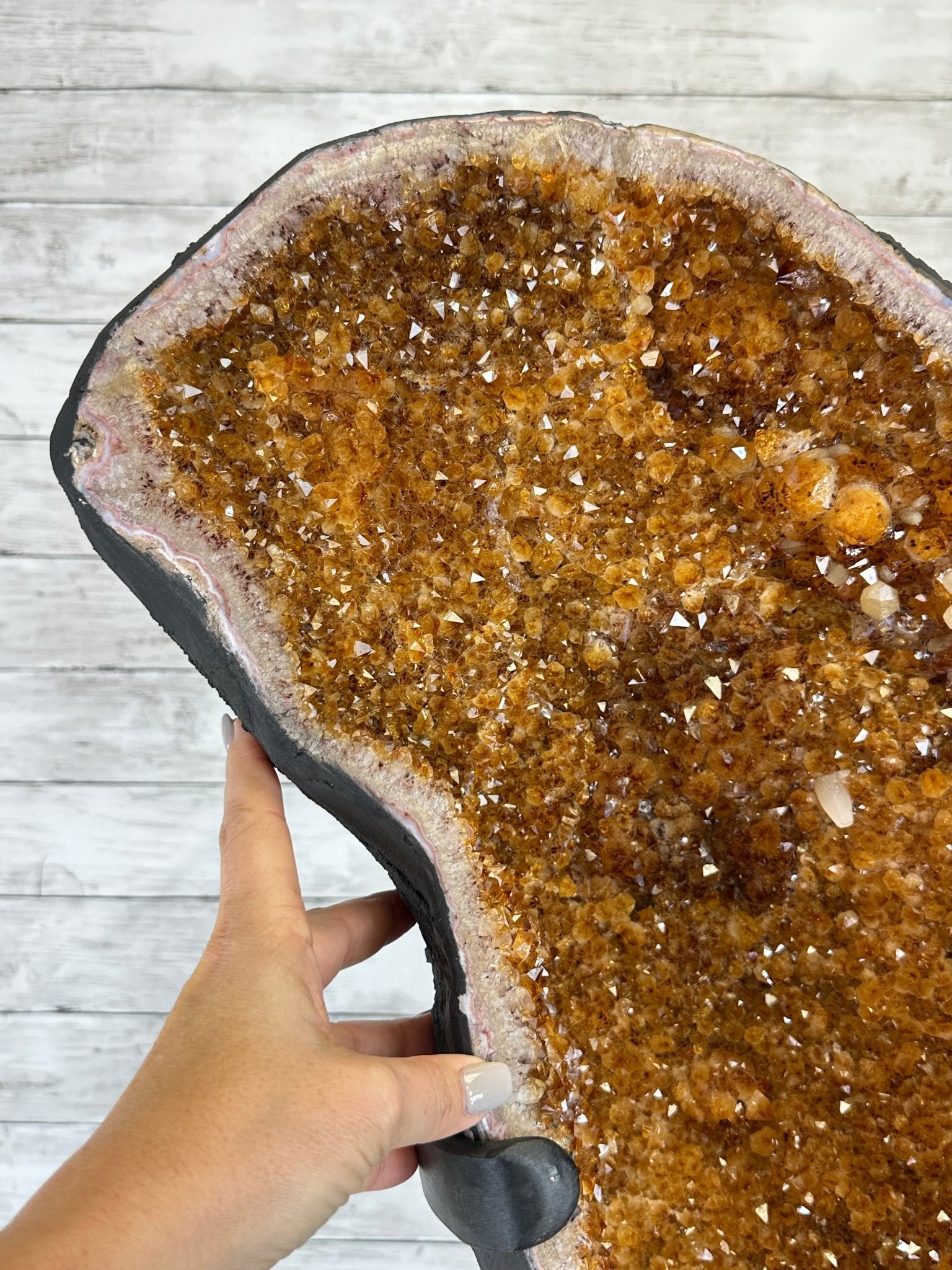 Large Citrine Butterfly Wings on a Metal Stand, 322 lbs & 72.75" Tall #5498-0005 - Brazil GemsBrazil GemsLarge Citrine Butterfly Wings on a Metal Stand, 322 lbs & 72.75" Tall #5498-0005Citrine Butterfly Wings5498-0005