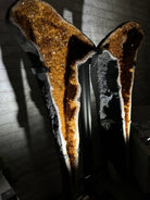 Large Citrine Butterfly Wings on a Metal Stand, 322 lbs & 72.75" Tall #5498-0005 - Brazil GemsBrazil GemsLarge Citrine Butterfly Wings on a Metal Stand, 322 lbs & 72.75" Tall #5498-0005Citrine Butterfly Wings5498-0005