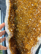 Large Citrine Butterfly Wings on a Metal Stand, 322 lbs & 72.75" Tall #5498-0005 - Brazil GemsBrazil GemsLarge Citrine Butterfly Wings on a Metal Stand, 322 lbs & 72.75" Tall #5498-0005Citrine Butterfly Wings5498-0005