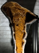 Large Citrine Butterfly Wings on a Metal Stand, 322 lbs & 72.75" Tall #5498-0005 - Brazil GemsBrazil GemsLarge Citrine Butterfly Wings on a Metal Stand, 322 lbs & 72.75" Tall #5498-0005Citrine Butterfly Wings5498-0005