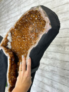 Large Citrine Butterfly Wings on a Metal Stand, 322 lbs & 72.75" Tall #5498-0005 - Brazil GemsBrazil GemsLarge Citrine Butterfly Wings on a Metal Stand, 322 lbs & 72.75" Tall #5498-0005Citrine Butterfly Wings5498-0005