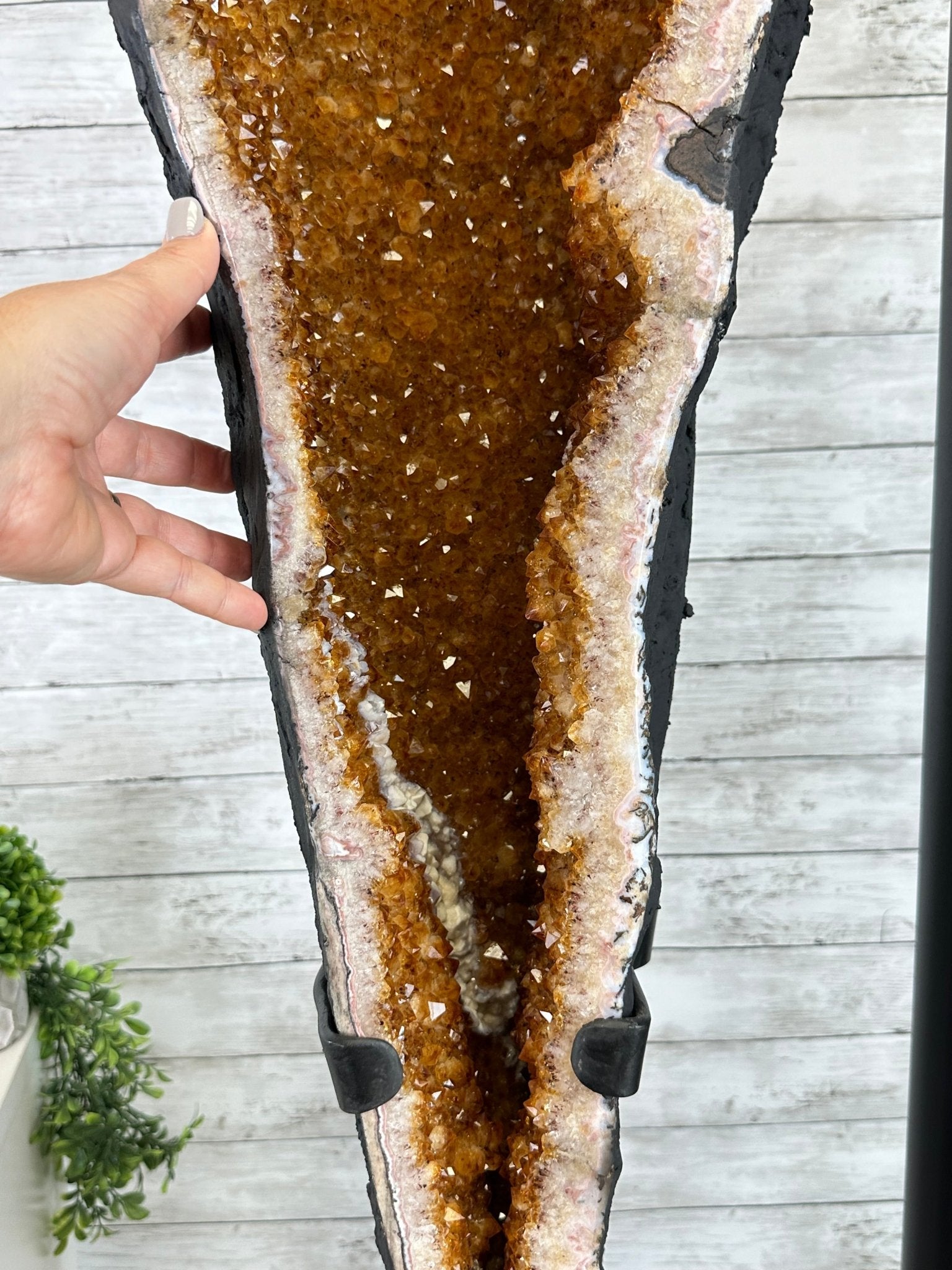 Large Citrine Butterfly Wings on a Metal Stand, 322 lbs & 72.75" Tall #5498-0005 - Brazil GemsBrazil GemsLarge Citrine Butterfly Wings on a Metal Stand, 322 lbs & 72.75" Tall #5498-0005Citrine Butterfly Wings5498-0005