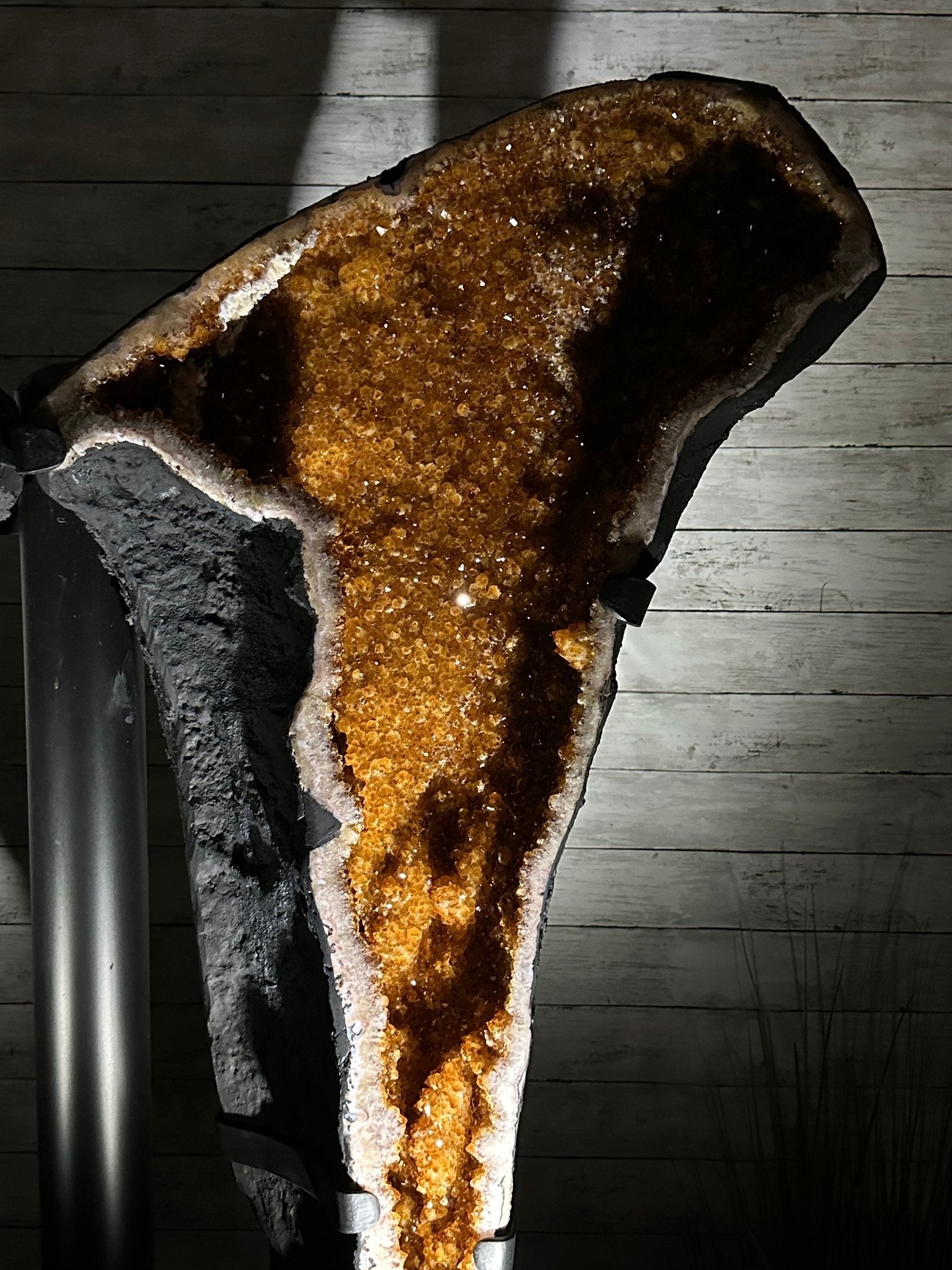Large Citrine Butterfly Wings on a Metal Stand, 322 lbs & 72.75" Tall #5498-0005 - Brazil GemsBrazil GemsLarge Citrine Butterfly Wings on a Metal Stand, 322 lbs & 72.75" Tall #5498-0005Citrine Butterfly Wings5498-0005