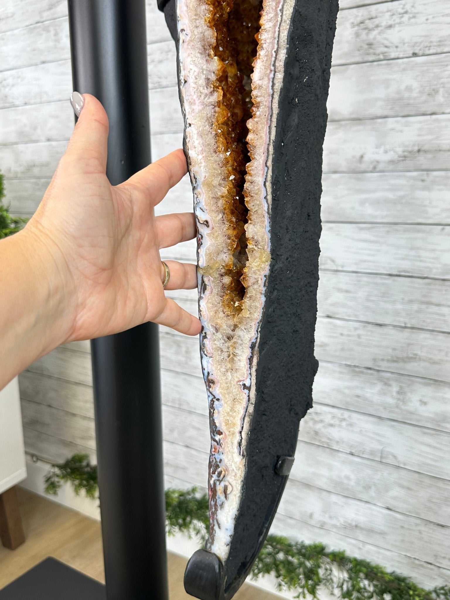 Large Citrine Butterfly Wings on a Metal Stand, 322 lbs & 72.75" Tall #5498-0005 - Brazil GemsBrazil GemsLarge Citrine Butterfly Wings on a Metal Stand, 322 lbs & 72.75" Tall #5498-0005Citrine Butterfly Wings5498-0005