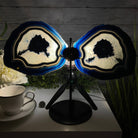 Large Dyed Blue Brazilian Agate "Butterfly Wings", Metal Stand, 12" Tall, Model #5050BL-0045 by Brazil Gems - Brazil GemsBrazil GemsLarge Dyed Blue Brazilian Agate "Butterfly Wings", Metal Stand, 12" Tall, Model #5050BL-0045 by Brazil GemsAgate Butterfly Wings5050BL-0045