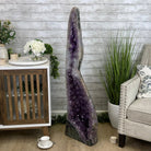 Large Extra Plus Quality Polished Brazilian Amethyst Cathedral, 155.3 lbs & 52” Tall Model #5602-0145 by Brazil Gems - Brazil GemsBrazil GemsLarge Extra Plus Quality Polished Brazilian Amethyst Cathedral, 155.3 lbs & 52” Tall Model #5602-0145 by Brazil GemsPolished Cathedrals5602-0145