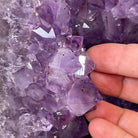 Large Extra Plus Quality Polished Brazilian Amethyst Cathedral, 155.3 lbs & 52” Tall Model #5602-0145 by Brazil Gems - Brazil GemsBrazil GemsLarge Extra Plus Quality Polished Brazilian Amethyst Cathedral, 155.3 lbs & 52” Tall Model #5602-0145 by Brazil GemsPolished Cathedrals5602-0145