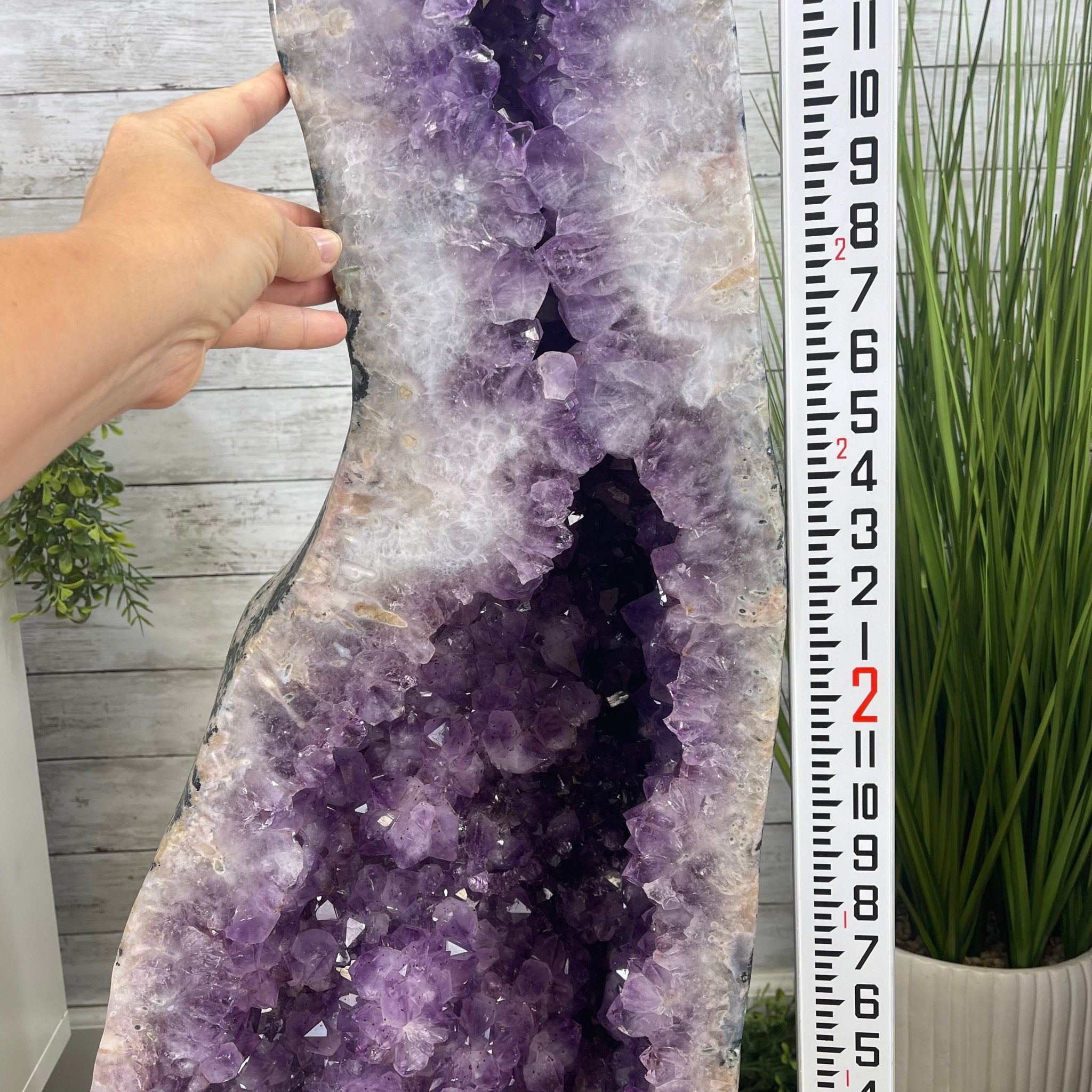 Large Extra Plus Quality Polished Brazilian Amethyst Cathedral, 157 lbs & 50.6” Tall Model #5602-0146 by Brazil Gems - Brazil GemsBrazil GemsLarge Extra Plus Quality Polished Brazilian Amethyst Cathedral, 157 lbs & 50.6” Tall Model #5602-0146 by Brazil GemsPolished Cathedrals5602-0146
