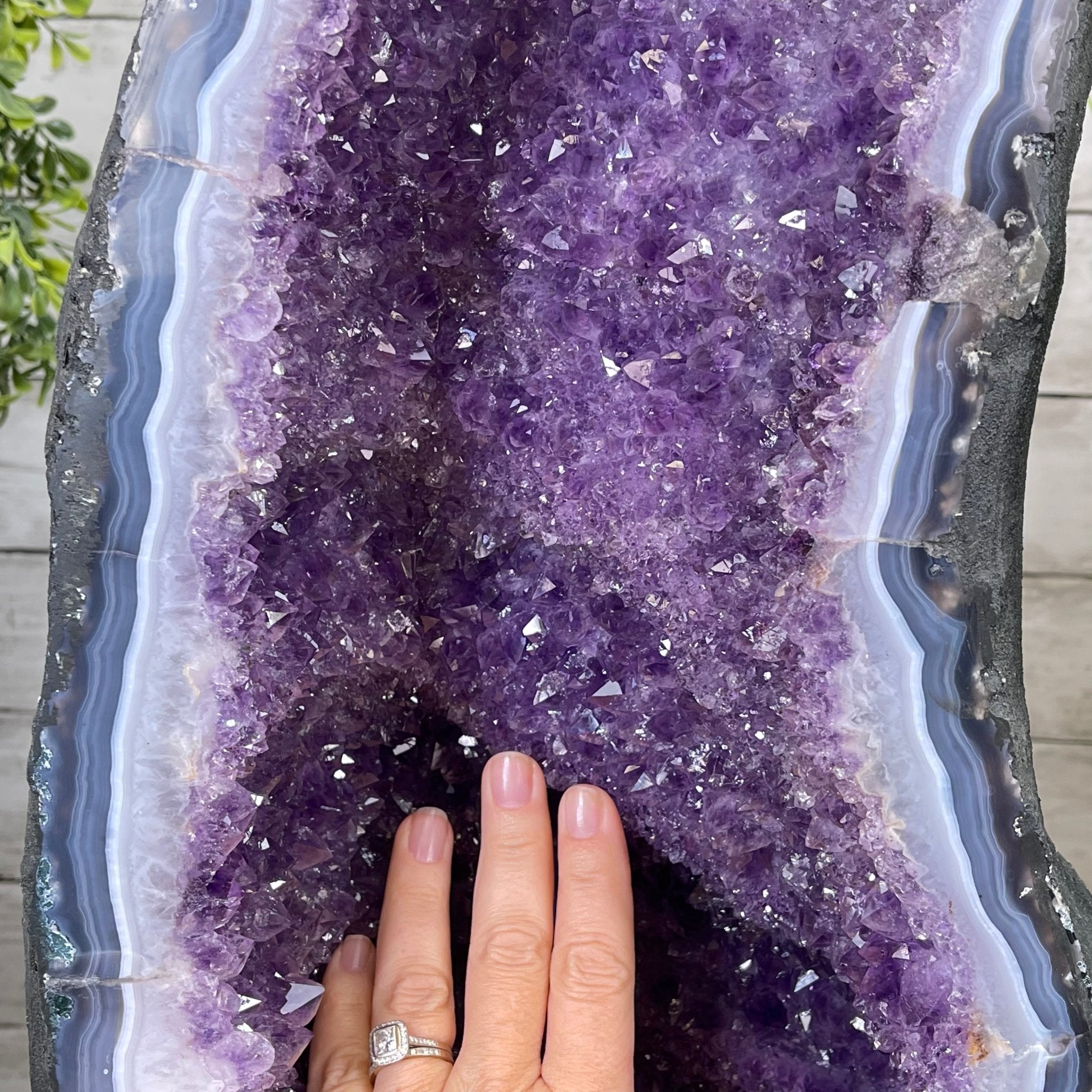 Large Extra Quality Brazilian Amethyst Cathedral, 169.8 lbs & 37.3” tall #5601-1179 by Brazil Gems - Brazil GemsBrazil GemsLarge Extra Quality Brazilian Amethyst Cathedral, 169.8 lbs & 37.3” tall #5601-1179 by Brazil GemsCathedrals5601-1179