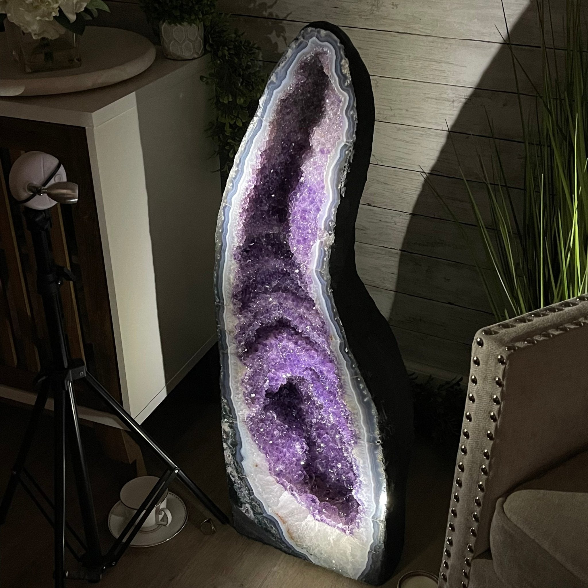 Large Extra Quality Brazilian Amethyst Cathedral, 169.8 lbs & 37.3” tall #5601-1179 by Brazil Gems - Brazil GemsBrazil GemsLarge Extra Quality Brazilian Amethyst Cathedral, 169.8 lbs & 37.3” tall #5601-1179 by Brazil GemsCathedrals5601-1179