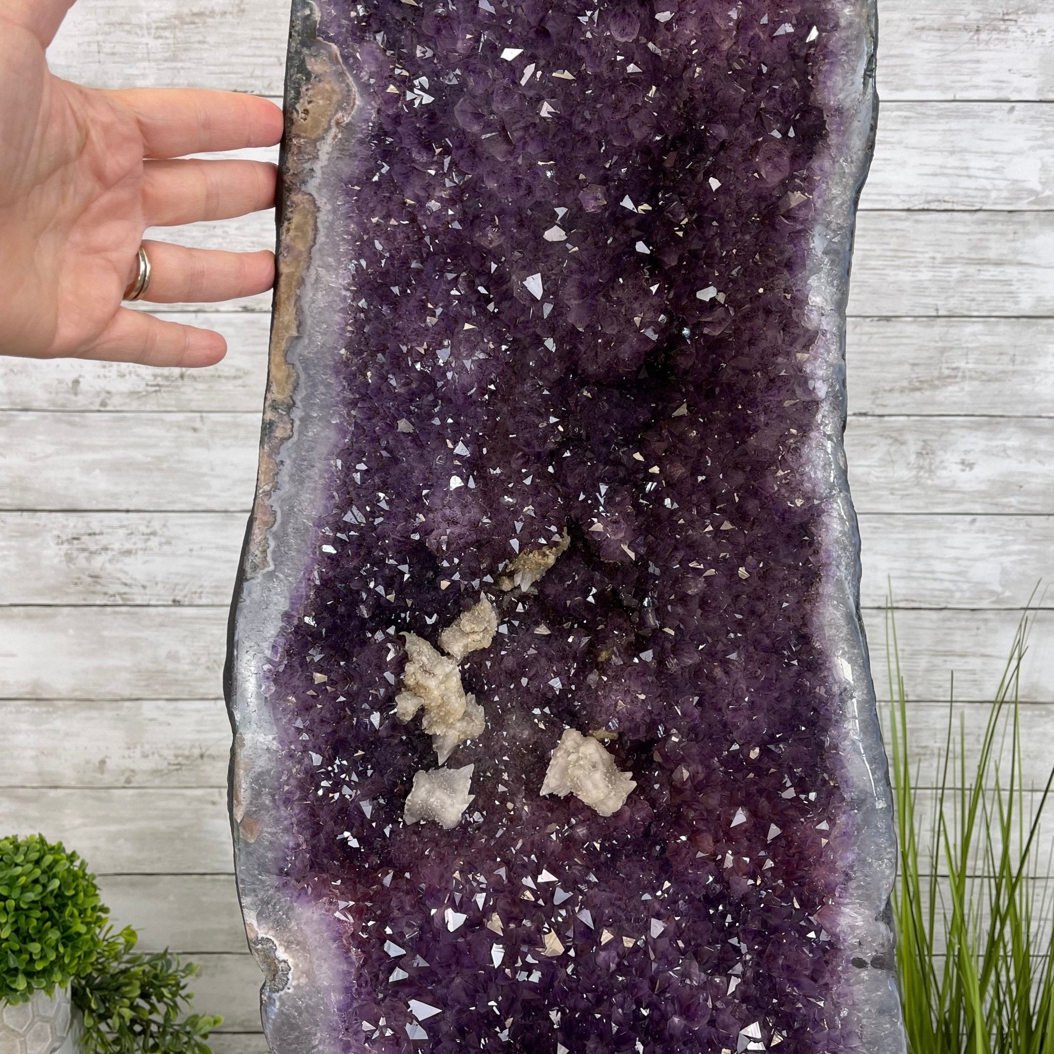 Large Extra Quality Brazilian Amethyst Cathedral, 277.8 lbs & 68.75" Tall #5601-1206 by Brazil Gems - Brazil GemsBrazil GemsLarge Extra Quality Brazilian Amethyst Cathedral, 277.8 lbs & 68.75" Tall #5601-1206 by Brazil GemsCathedrals5601-1206