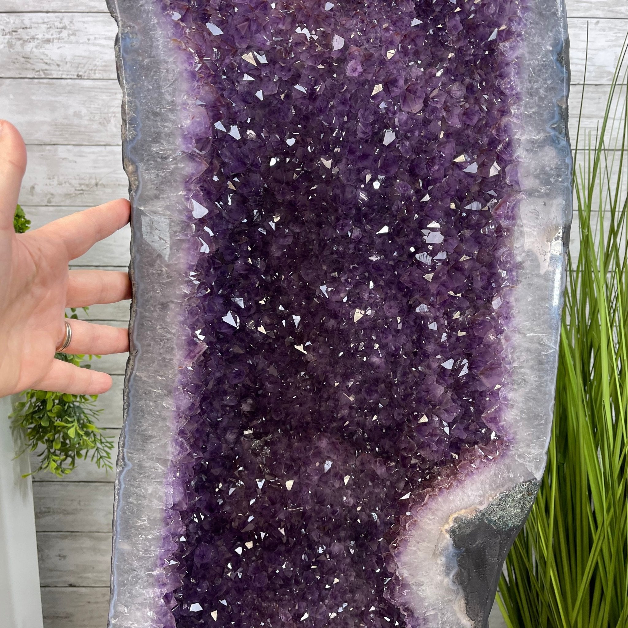 Large Extra Quality Brazilian Amethyst Cathedral, 277.8 lbs & 68.75" Tall #5601-1206 by Brazil Gems - Brazil GemsBrazil GemsLarge Extra Quality Brazilian Amethyst Cathedral, 277.8 lbs & 68.75" Tall #5601-1206 by Brazil GemsCathedrals5601-1206