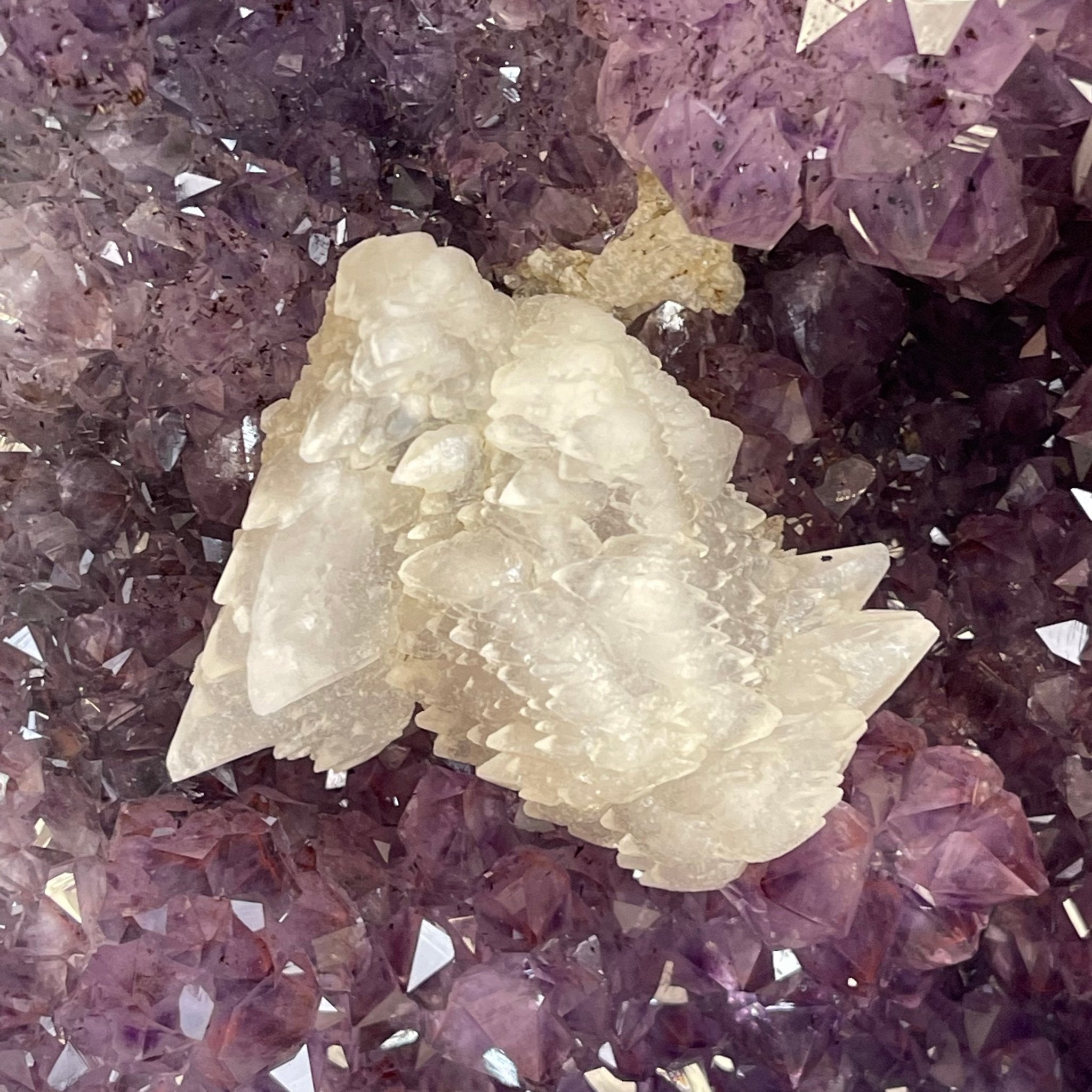 Large Extra Quality Brazilian Amethyst Cathedral, 277.8 lbs & 68.75" Tall #5601-1206 by Brazil Gems - Brazil GemsBrazil GemsLarge Extra Quality Brazilian Amethyst Cathedral, 277.8 lbs & 68.75" Tall #5601-1206 by Brazil GemsCathedrals5601-1206