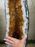 Large Extra Quality Citrine Cathedral, 112.5 lbs & 37.5" Tall #5603 - 0405 - Brazil GemsBrazil GemsLarge Extra Quality Citrine Cathedral, 112.5 lbs & 37.5" Tall #5603 - 0405Cathedrals5603 - 0405