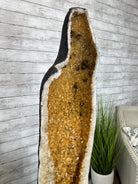 Large Extra Quality Citrine Cathedral, 344 lbs & 65.7" Tall #5603-0312 - Brazil GemsBrazil GemsLarge Extra Quality Citrine Cathedral, 344 lbs & 65.7" Tall #5603-0312Cathedrals5603-0312