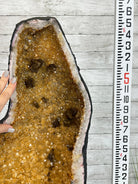 Large Extra Quality Citrine Cathedral, 344 lbs & 65.7" Tall #5603-0312 - Brazil GemsBrazil GemsLarge Extra Quality Citrine Cathedral, 344 lbs & 65.7" Tall #5603-0312Cathedrals5603-0312