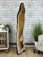 Large Extra Quality Citrine Cathedral, 344 lbs & 65.7" Tall #5603-0312 - Brazil GemsBrazil GemsLarge Extra Quality Citrine Cathedral, 344 lbs & 65.7" Tall #5603-0312Cathedrals5603-0312