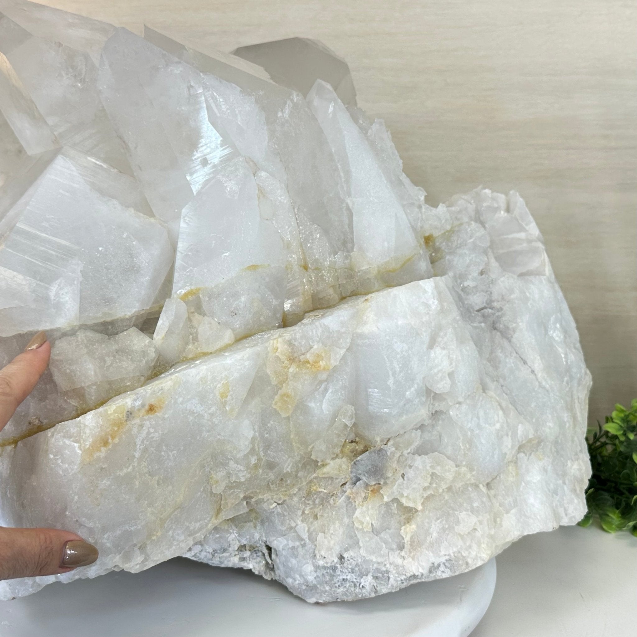 Large Extra Quality Clear Quartz Cluster 154.4 lbs & 22" Long 5494 - 0014 - Brazil GemsBrazil GemsLarge Extra Quality Clear Quartz Cluster 154.4 lbs & 22" Long 5494 - 0014Clusters With Natural Bases5494 - 0014