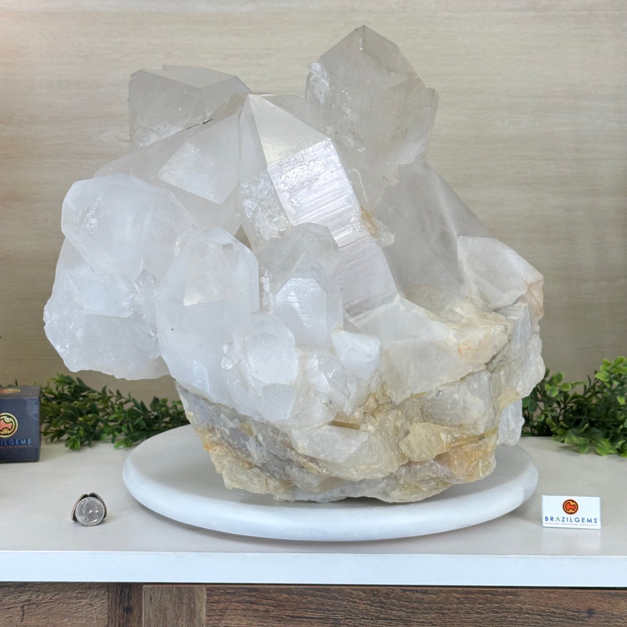 Large Extra Quality Clear Quartz Cluster 154.4 lbs & 22" Long 5494 - 0014 - Brazil GemsBrazil GemsLarge Extra Quality Clear Quartz Cluster 154.4 lbs & 22" Long 5494 - 0014Clusters With Natural Bases5494 - 0014