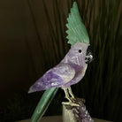 Large Hand - Carved Amethyst Cockatoo 8.6" Long on an Amethyst Cluster #3004 - AMCAM - 055 - Brazil GemsBrazil GemsLarge Hand - Carved Amethyst Cockatoo 8.6" Long on an Amethyst Cluster #3004 - AMCAM - 055Crystal Birds3004 - AMCAM - 055