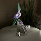 Large Hand - Carved Amethyst Cockatoo 8.6" Long on an Amethyst Cluster #3004 - AMCAM - 055 - Brazil GemsBrazil GemsLarge Hand - Carved Amethyst Cockatoo 8.6" Long on an Amethyst Cluster #3004 - AMCAM - 055Crystal Birds3004 - AMCAM - 055